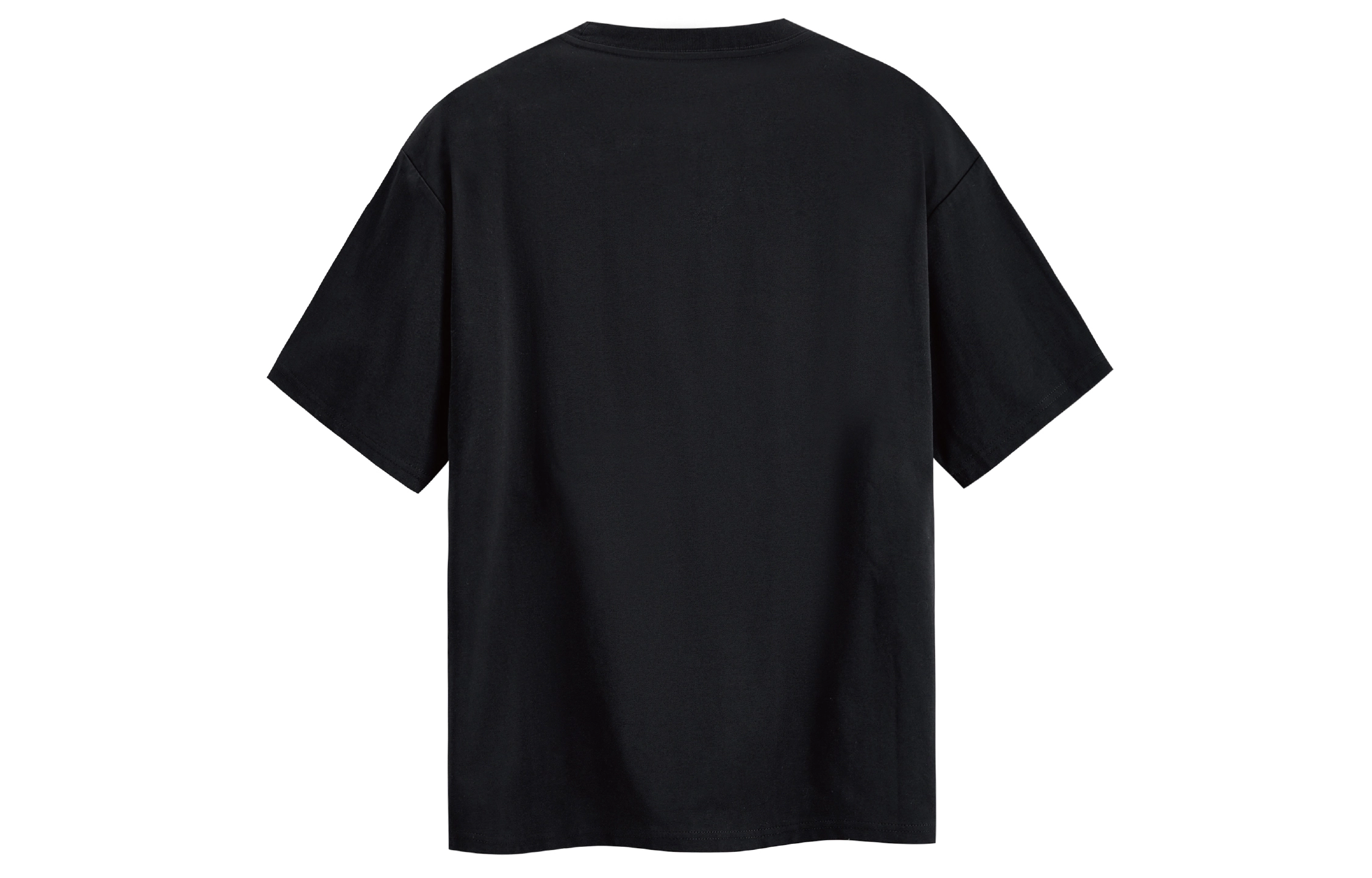 ICONS Lab T