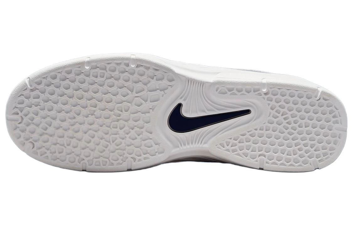 Nike Sb Vertebrae