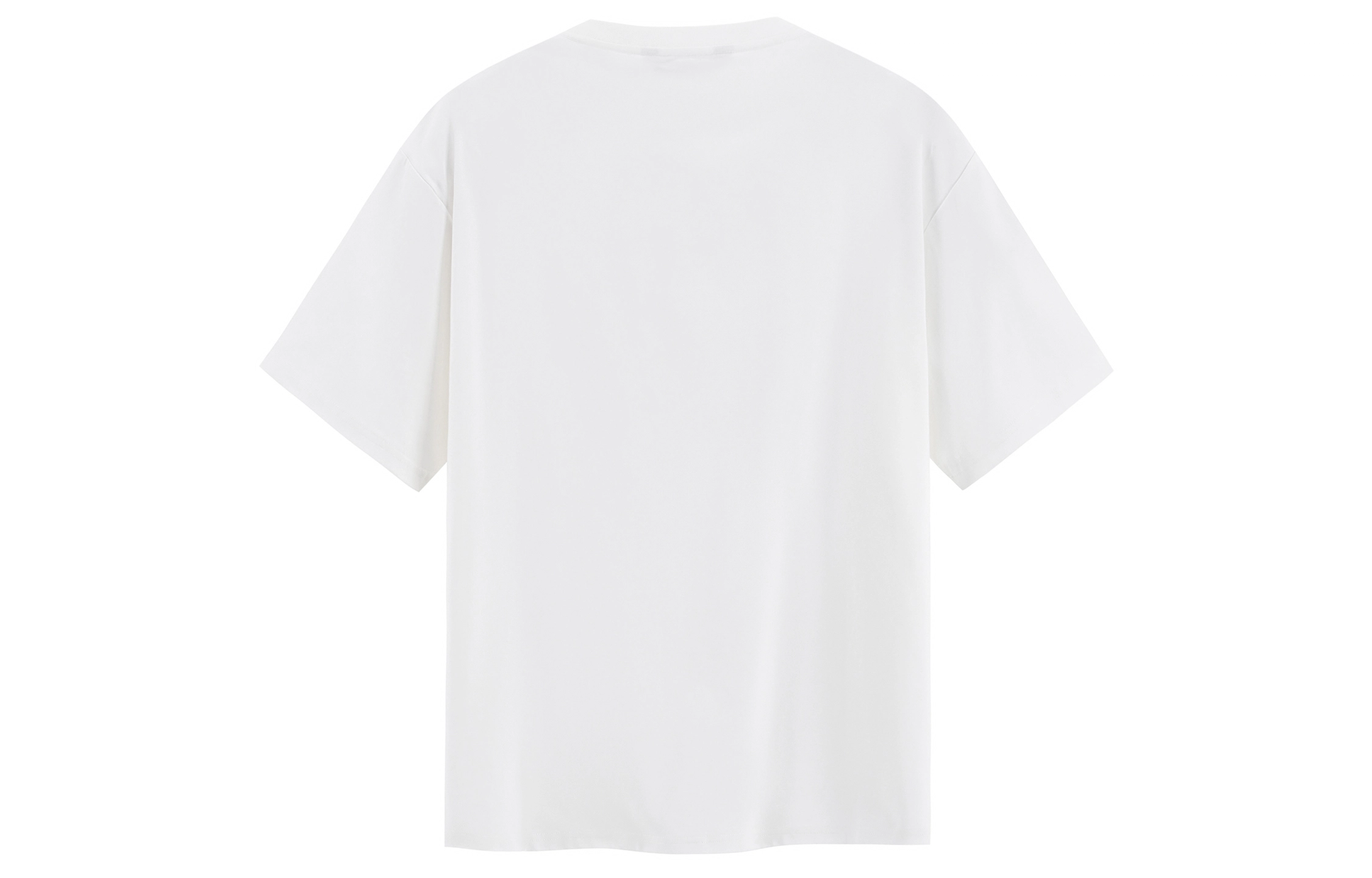 ICONS Lab T