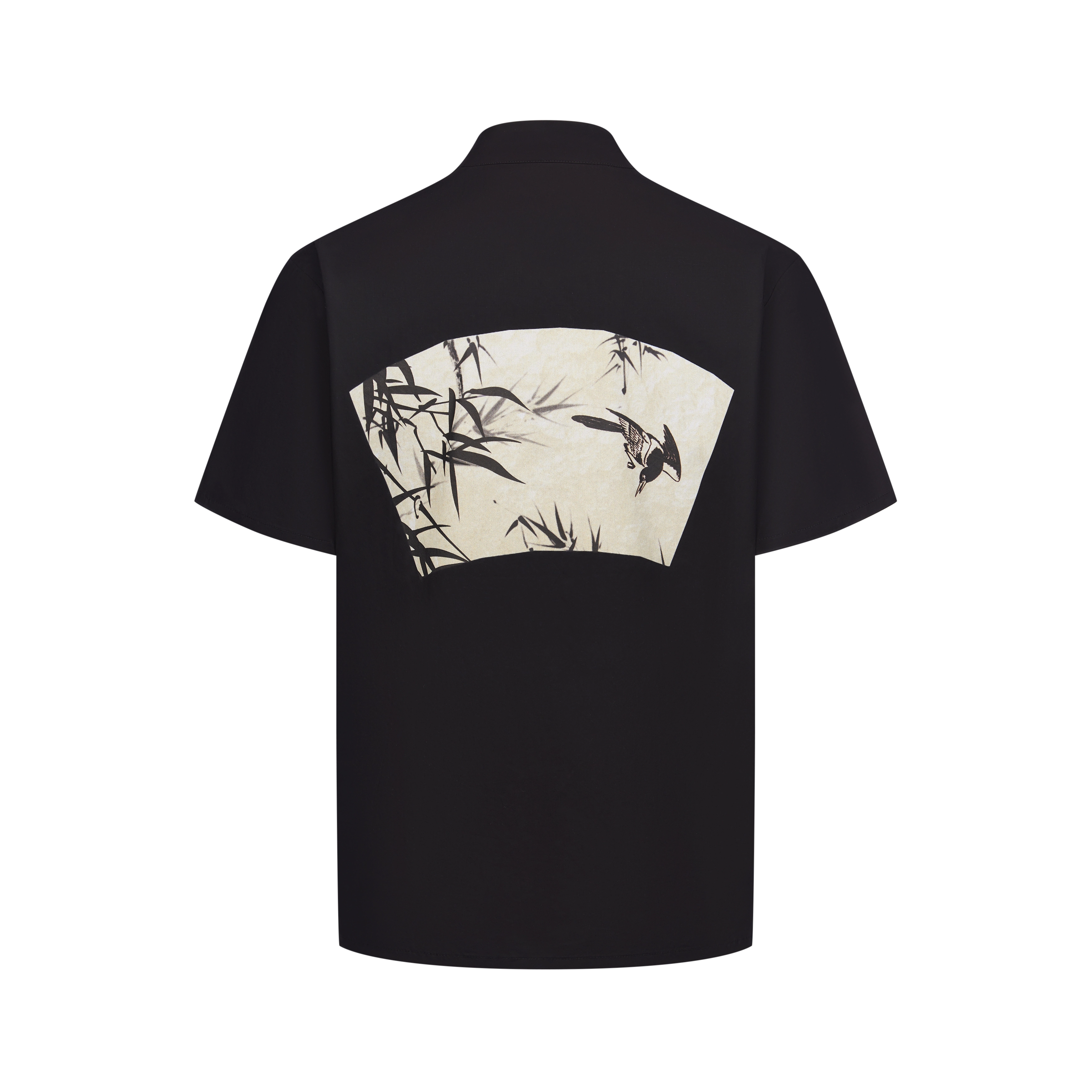 CNEW24ss
