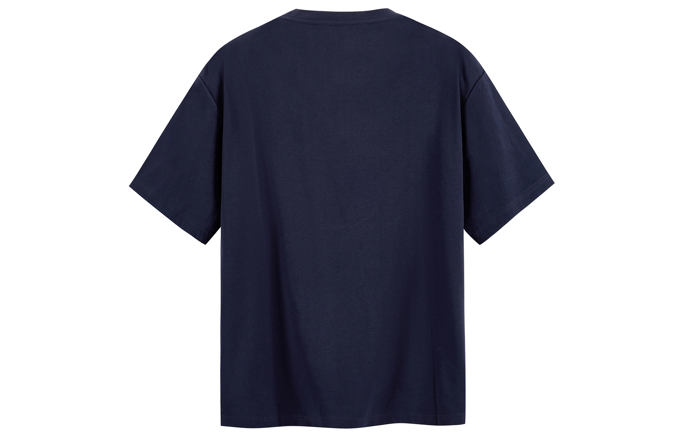 ICONS Lab T