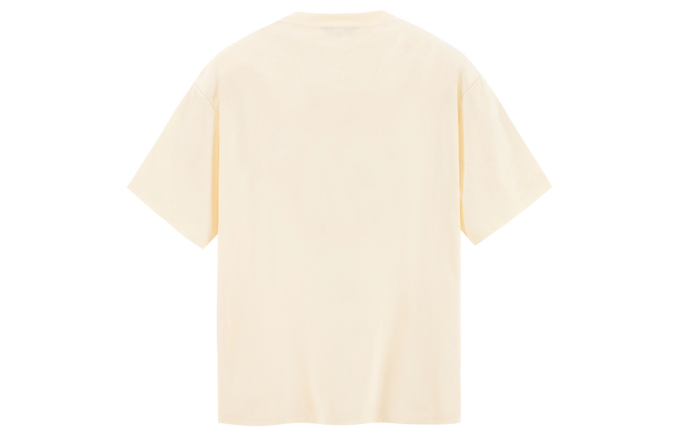 ICONS Lab T