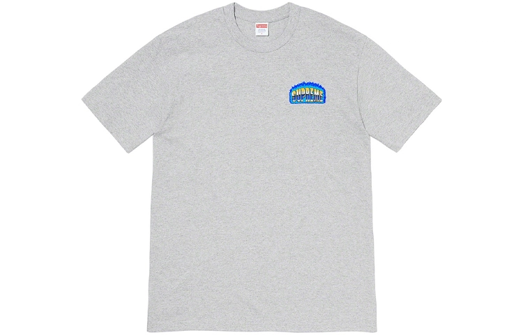 Supreme FW20 Week 17 Chrome Tee T