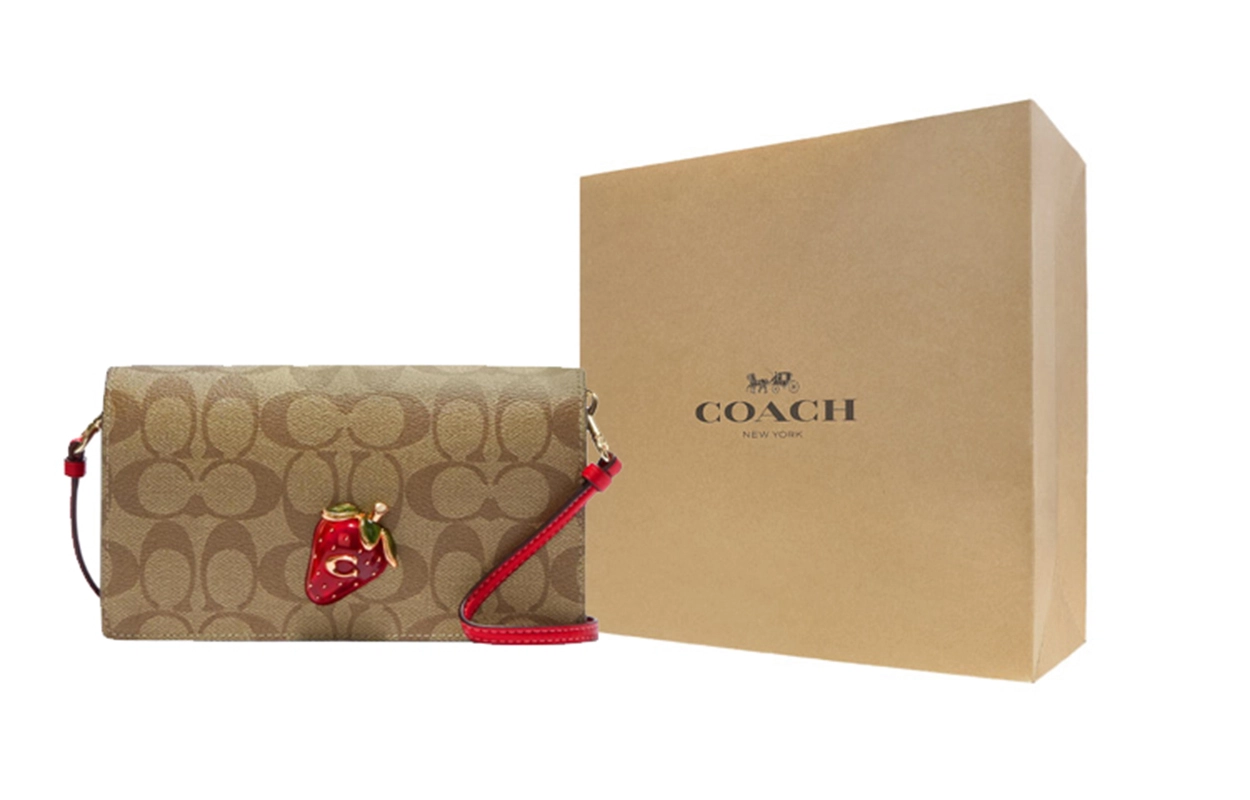 COACH Anna 20