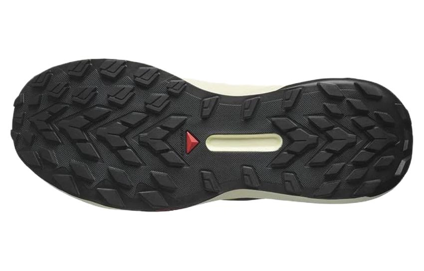 SALOMON Genesis