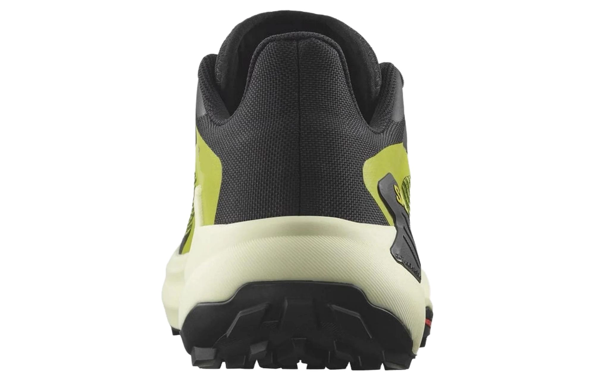 SALOMON Genesis