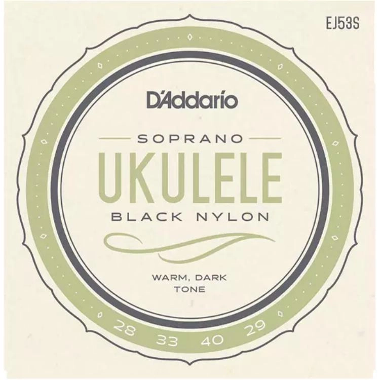 D'Addario EJ53