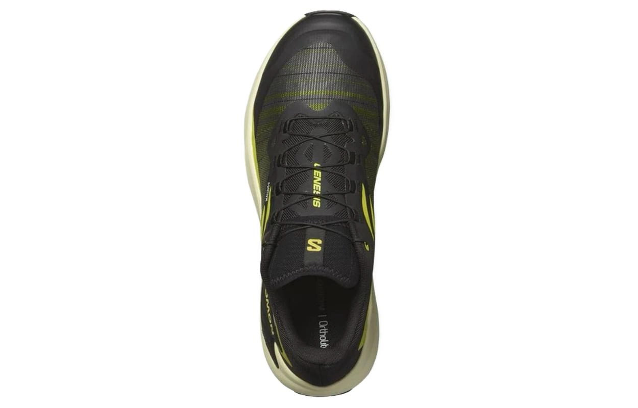 SALOMON Genesis