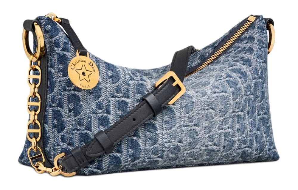 DIOR OBLIQUE Diorstar Hobo