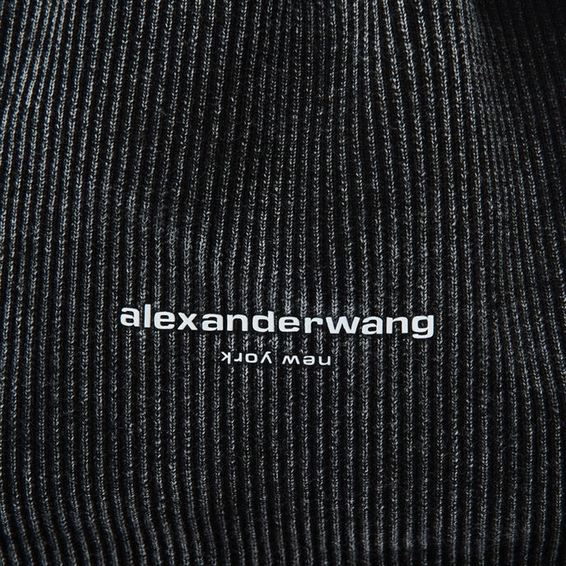alexander wang Logo