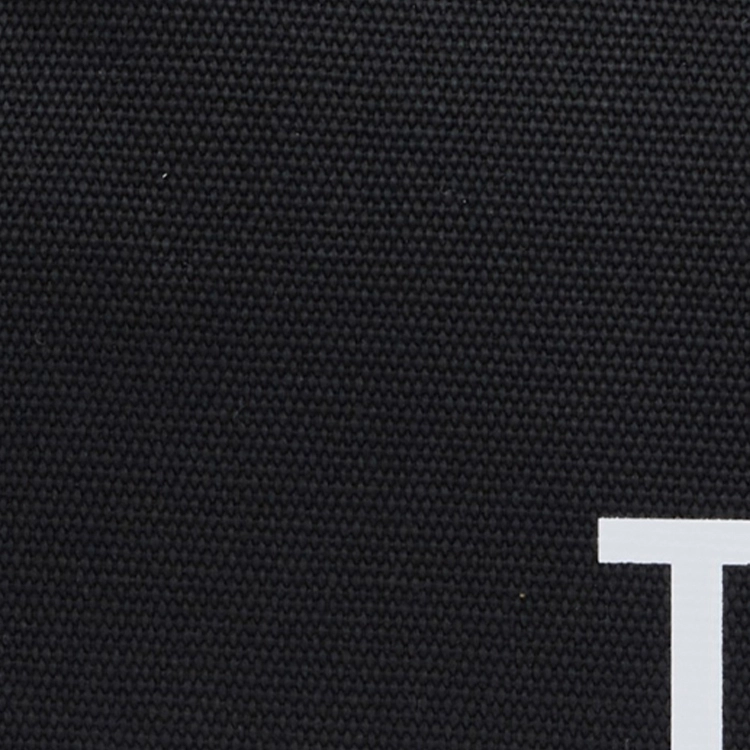 THE NORTH FACE logo Tote