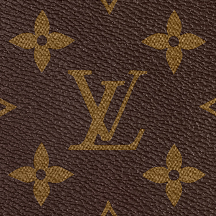 LOUIS VUITTON Multi Pochette