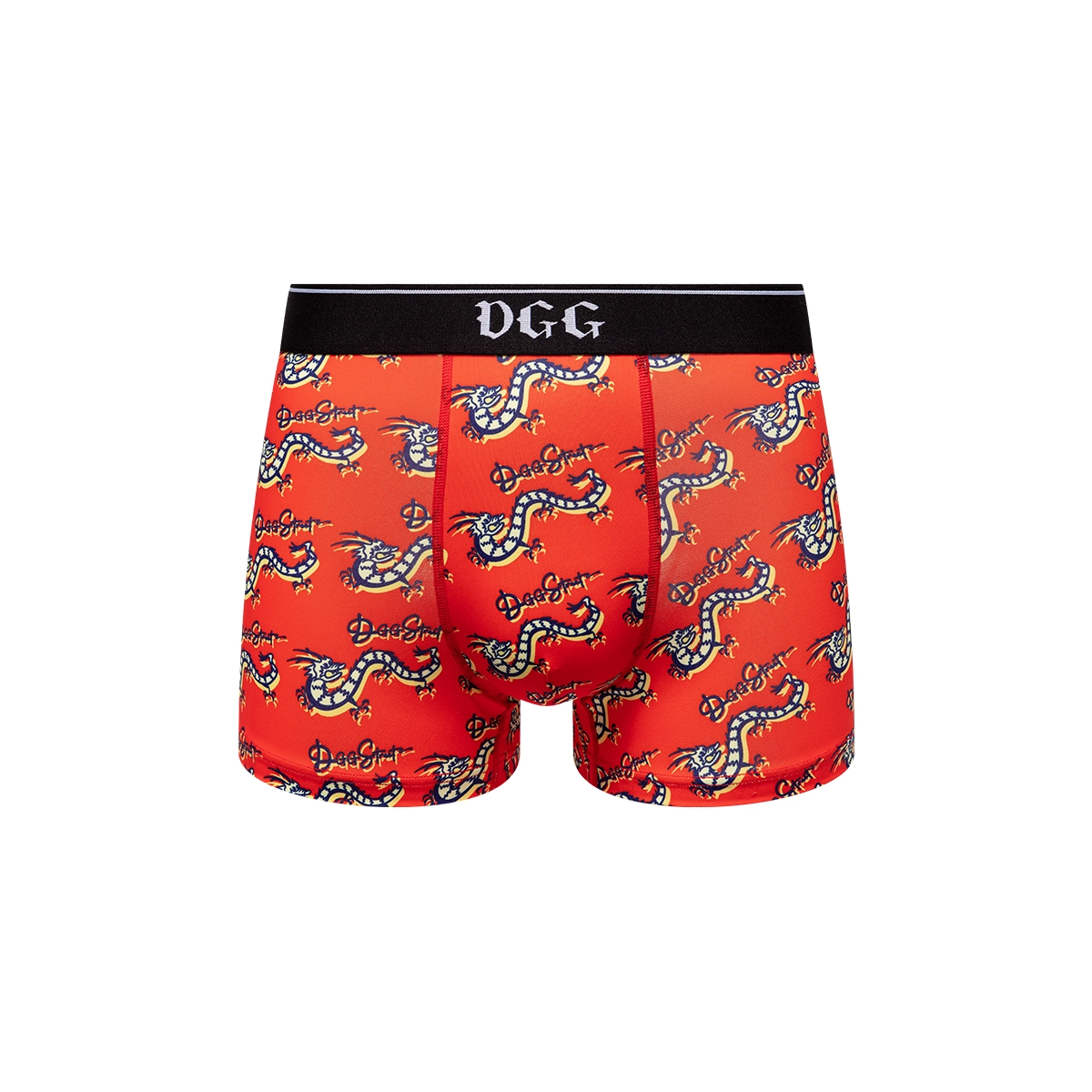 DGG 1