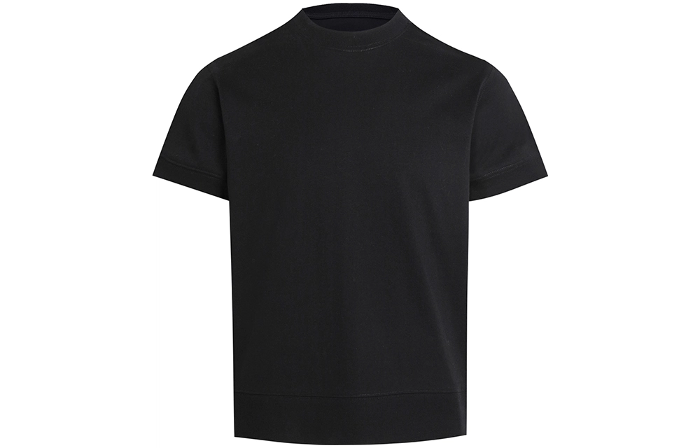 WHISTLEHUNTER T
