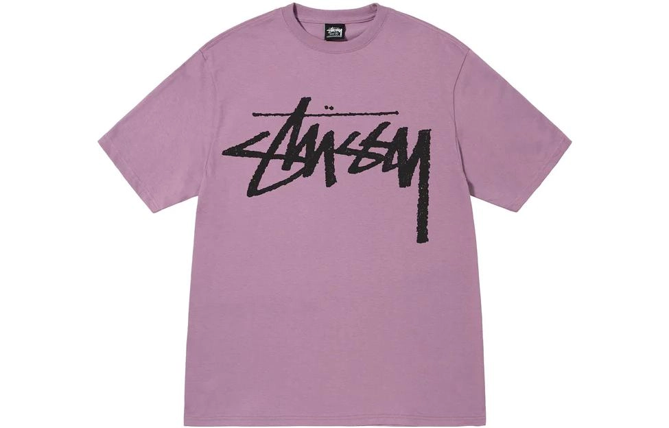 Stussy FW22 Big Stock logoT