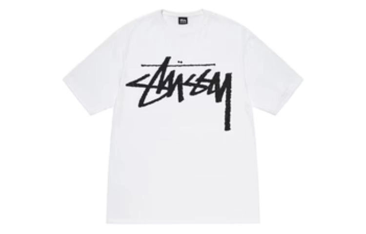Stussy FW22 Big Stock logoT