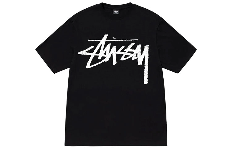 Stussy FW22 Big Stock logoT
