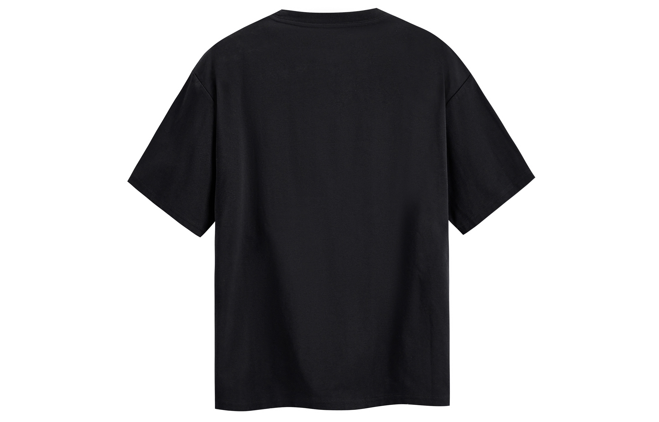 ICONS Lab T