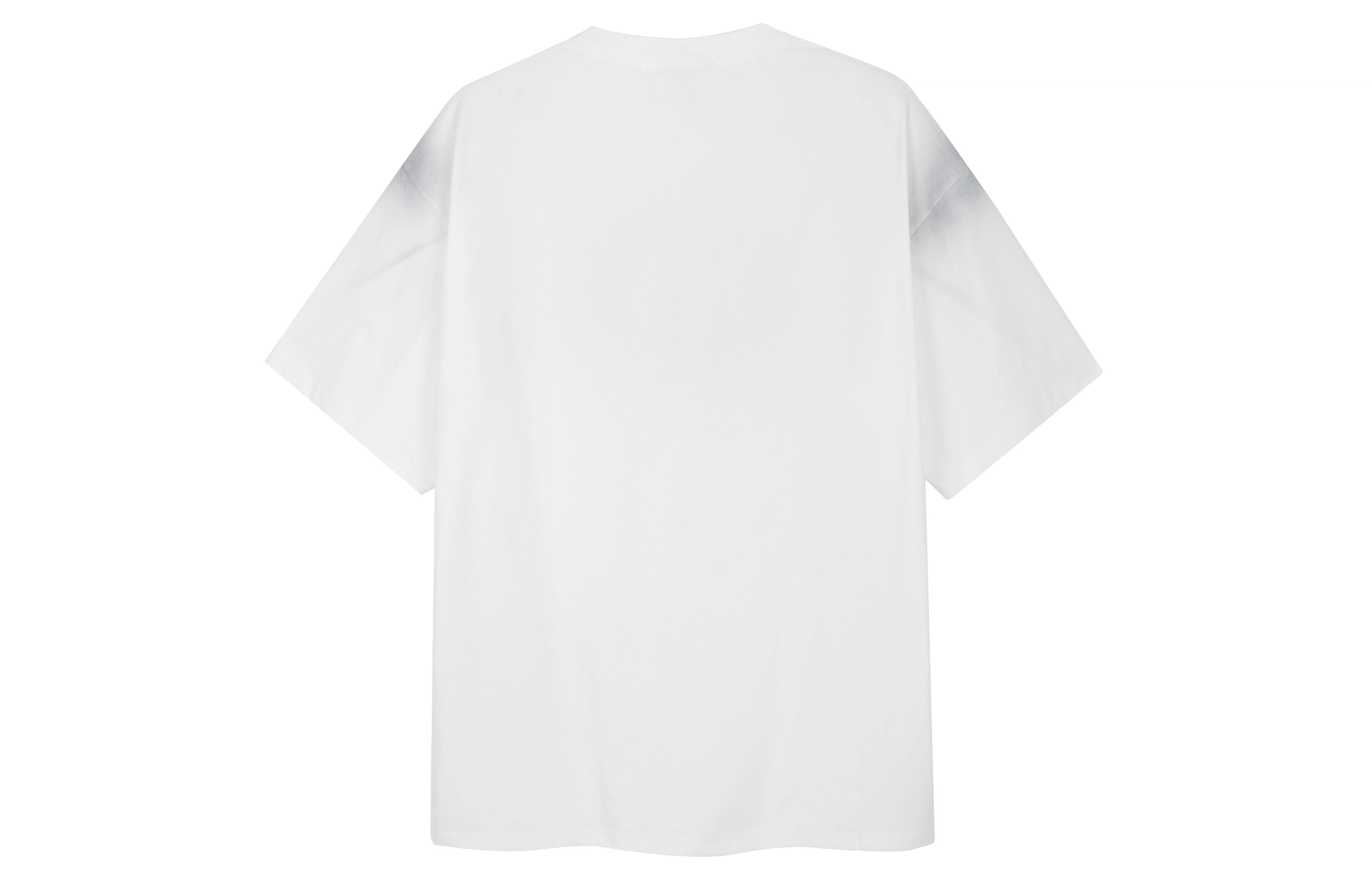ICONS Lab T