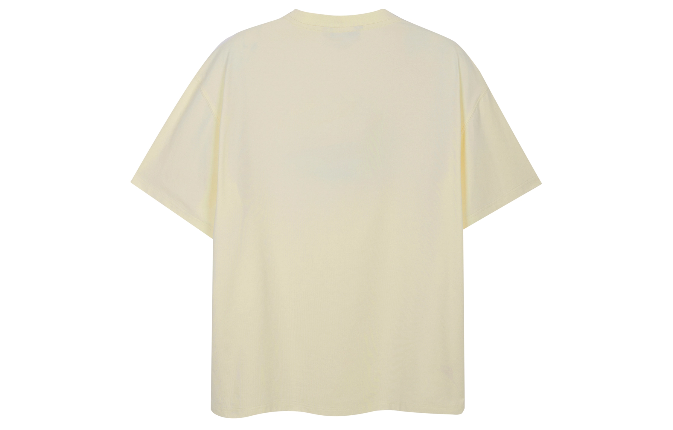 ICONS Lab T