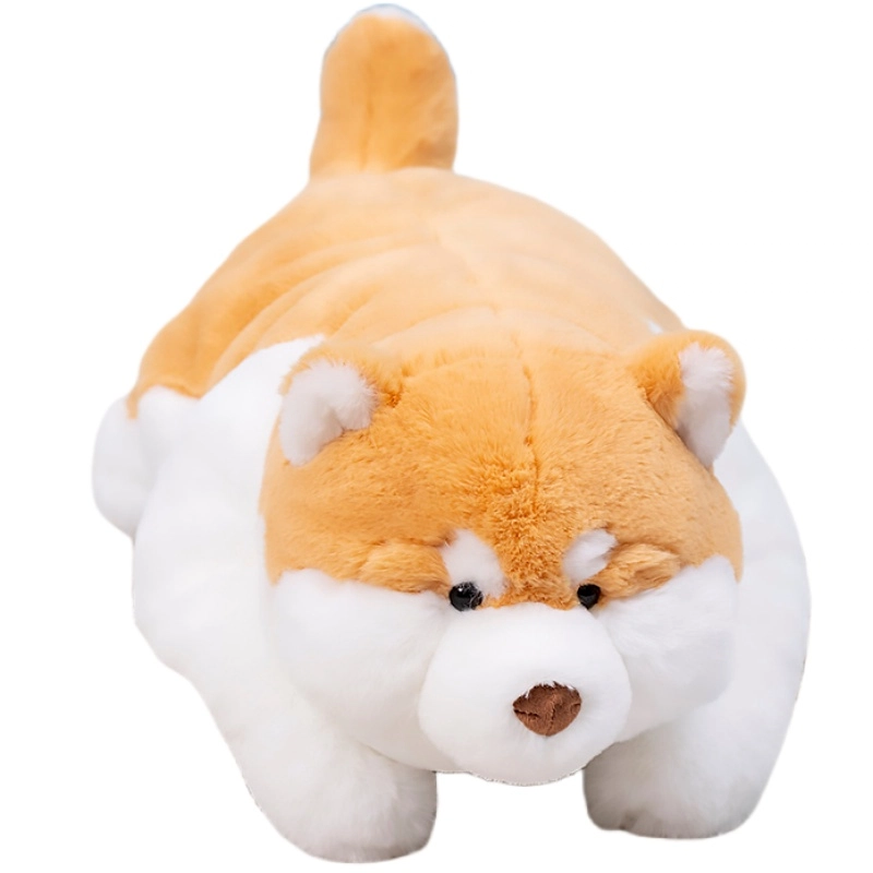 55cm