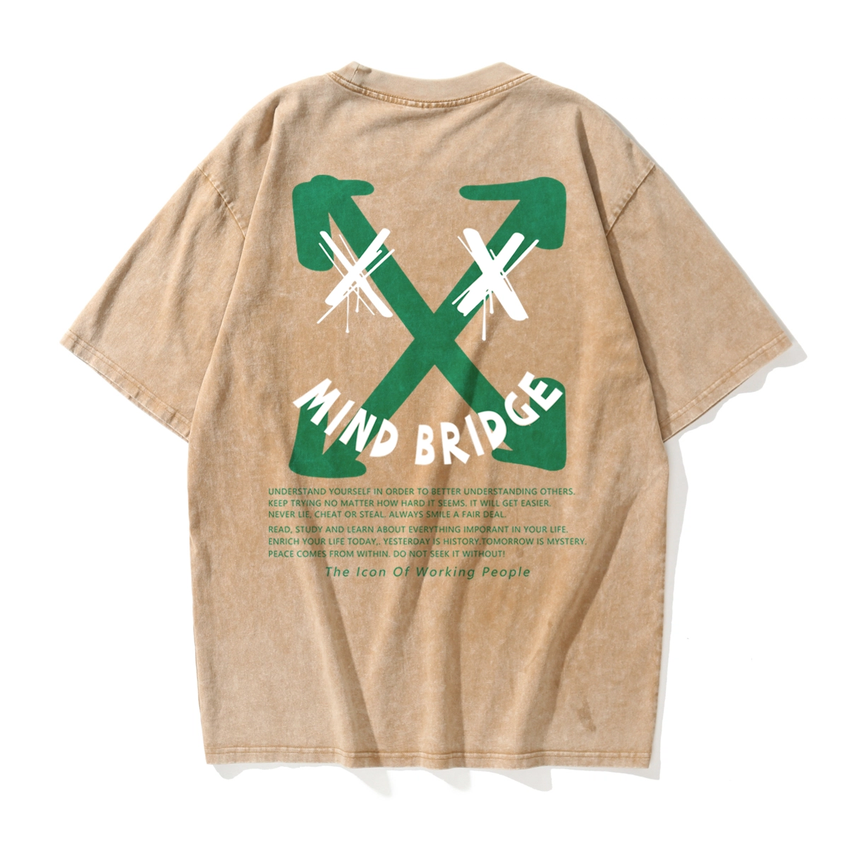 MindBridge T