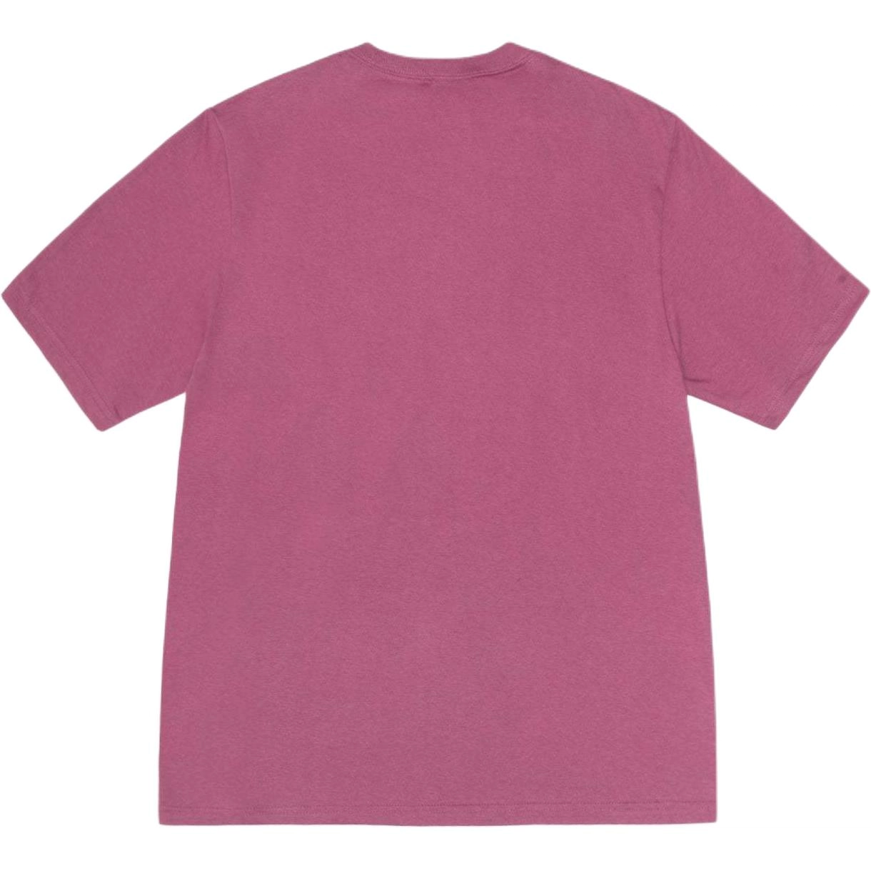 Stussy SS24 T
