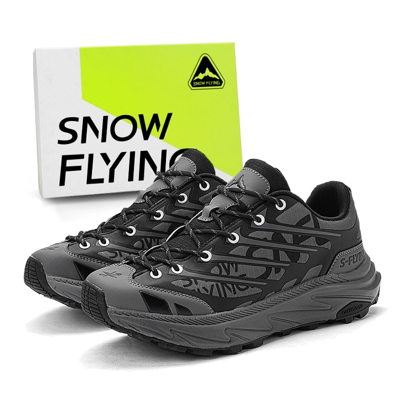 SNOW FLYING