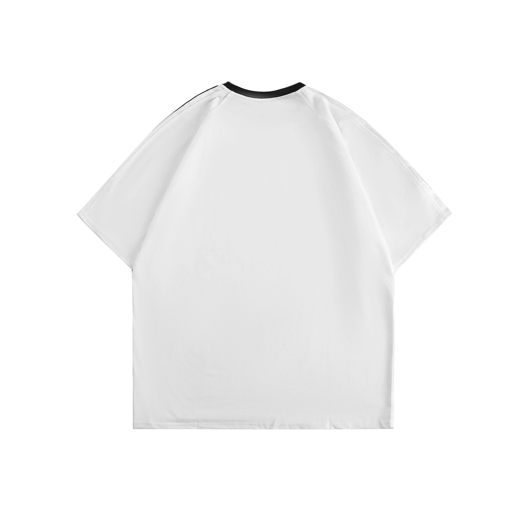 PUNCTILIOUS T