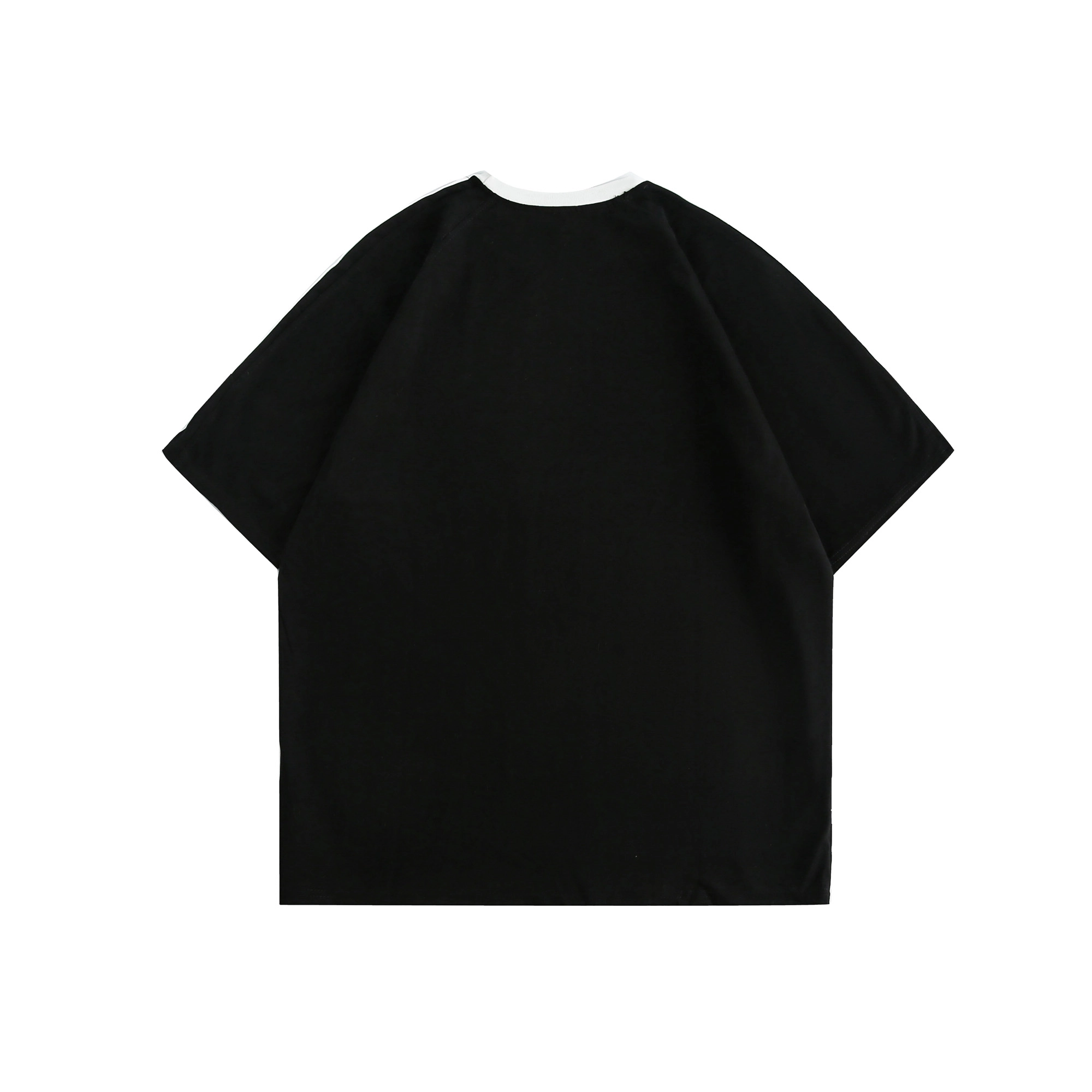 PUNCTILIOUS T
