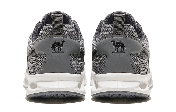 CAMEL