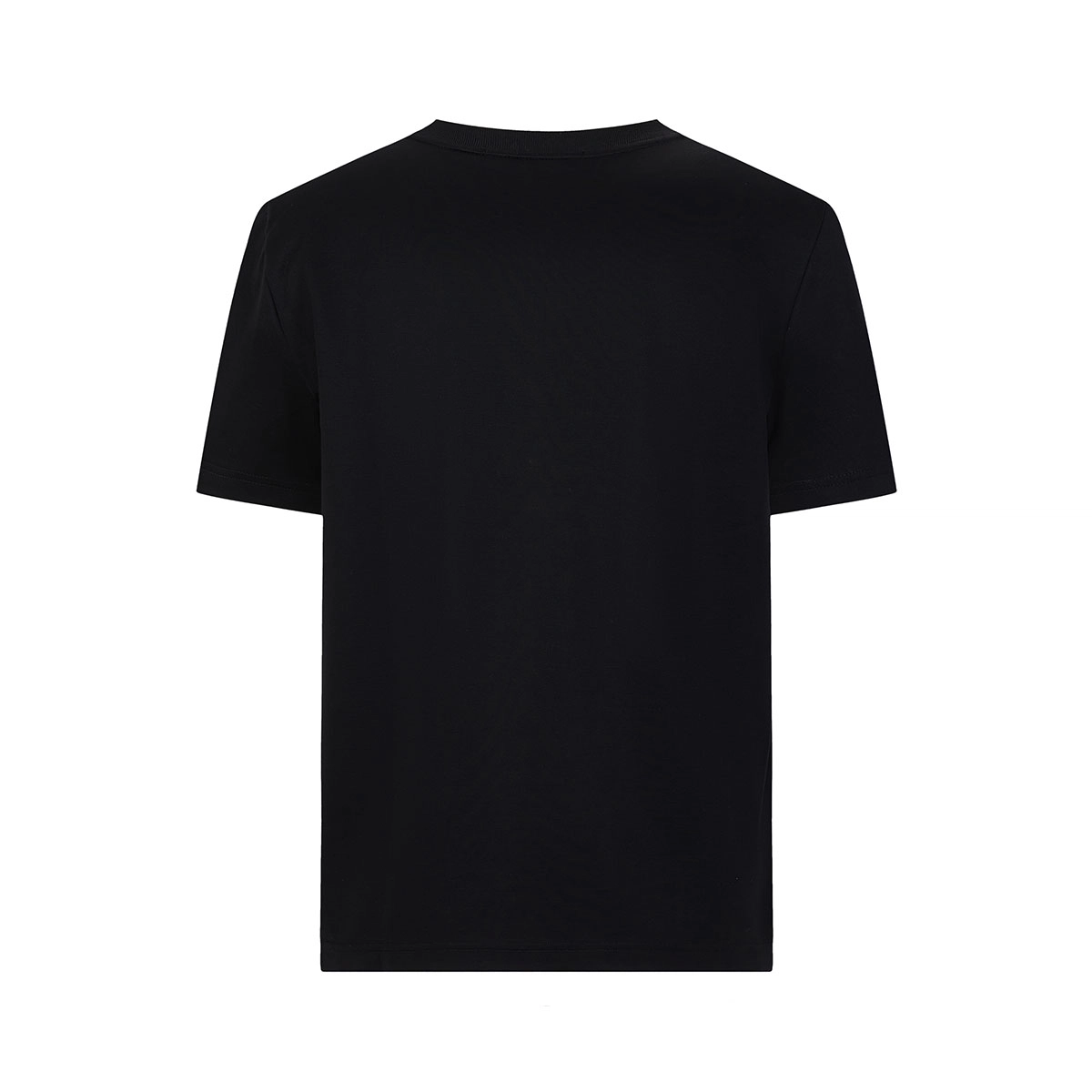 Cavalli Class T