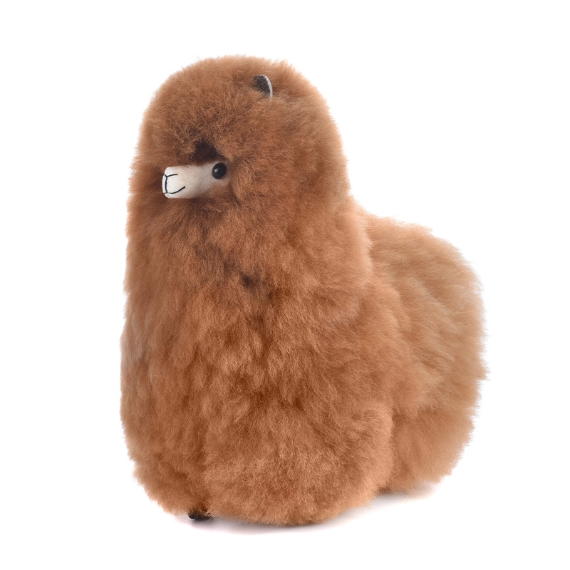 Warmpaca 24cm