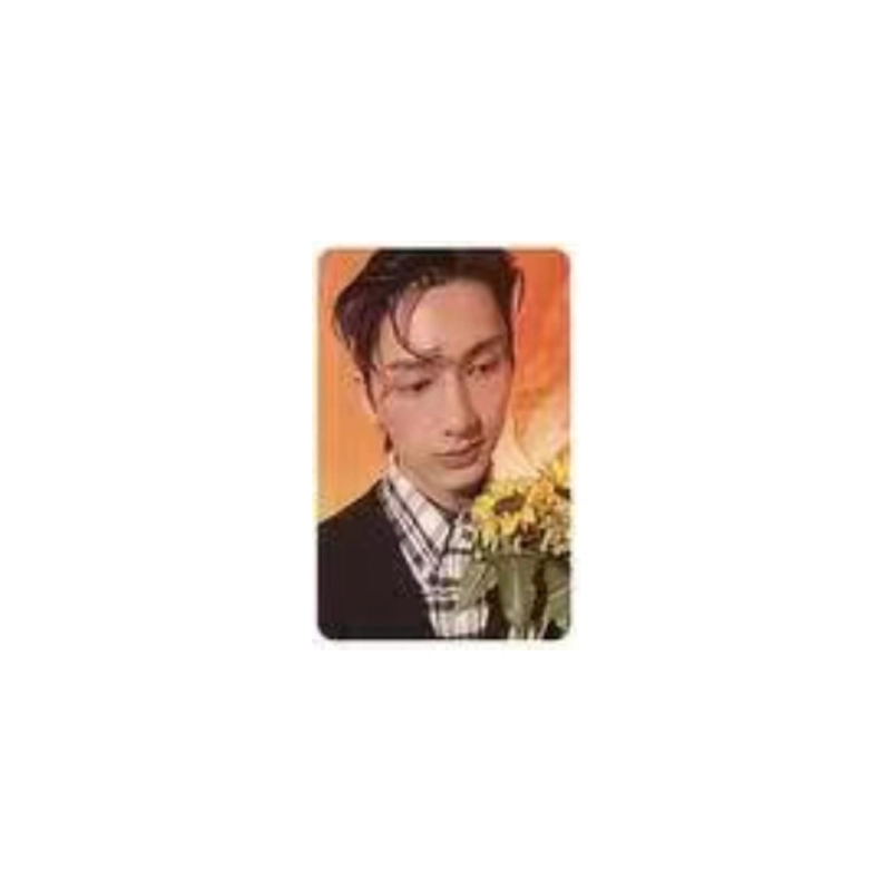 HYBE Seventeen 4.29 17 is right here random photo card