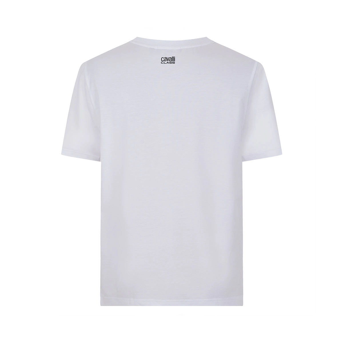 Cavalli Class T