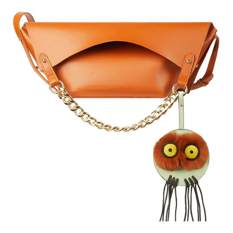WANACCESSORY