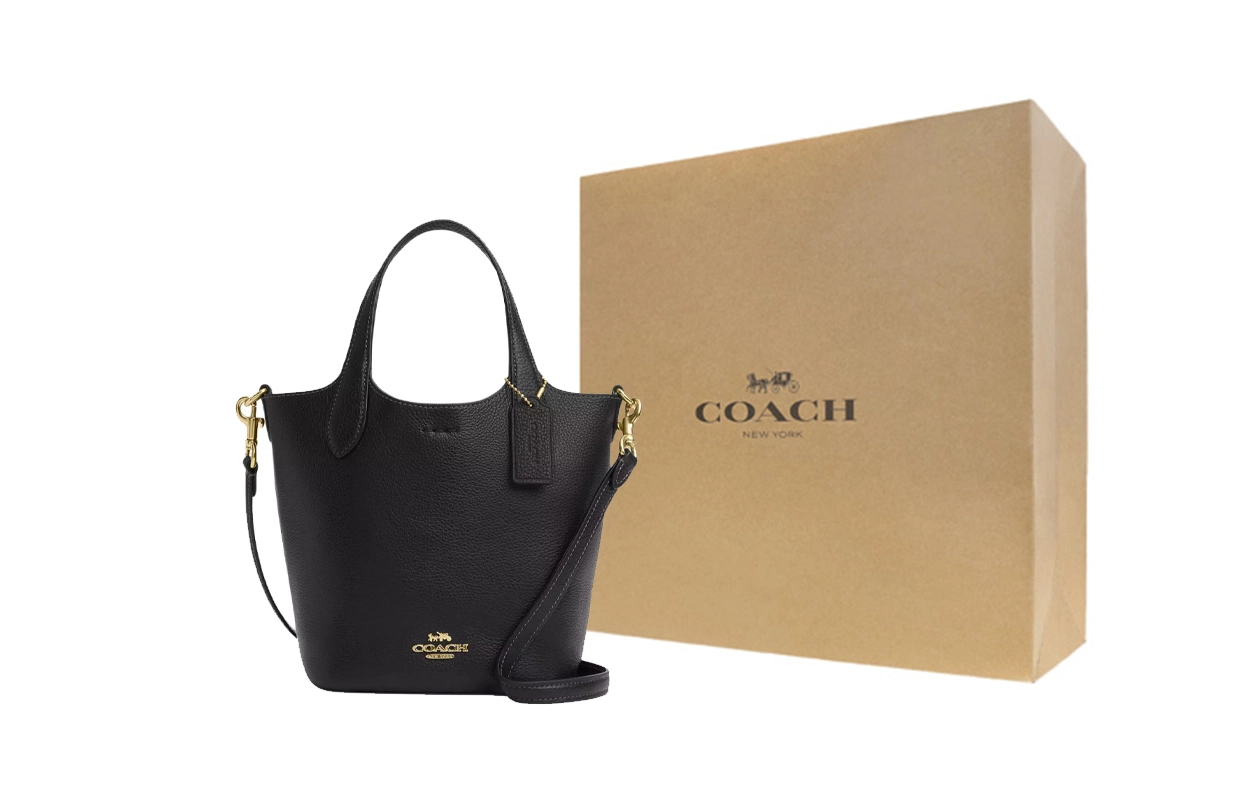 COACH Hanna 17
