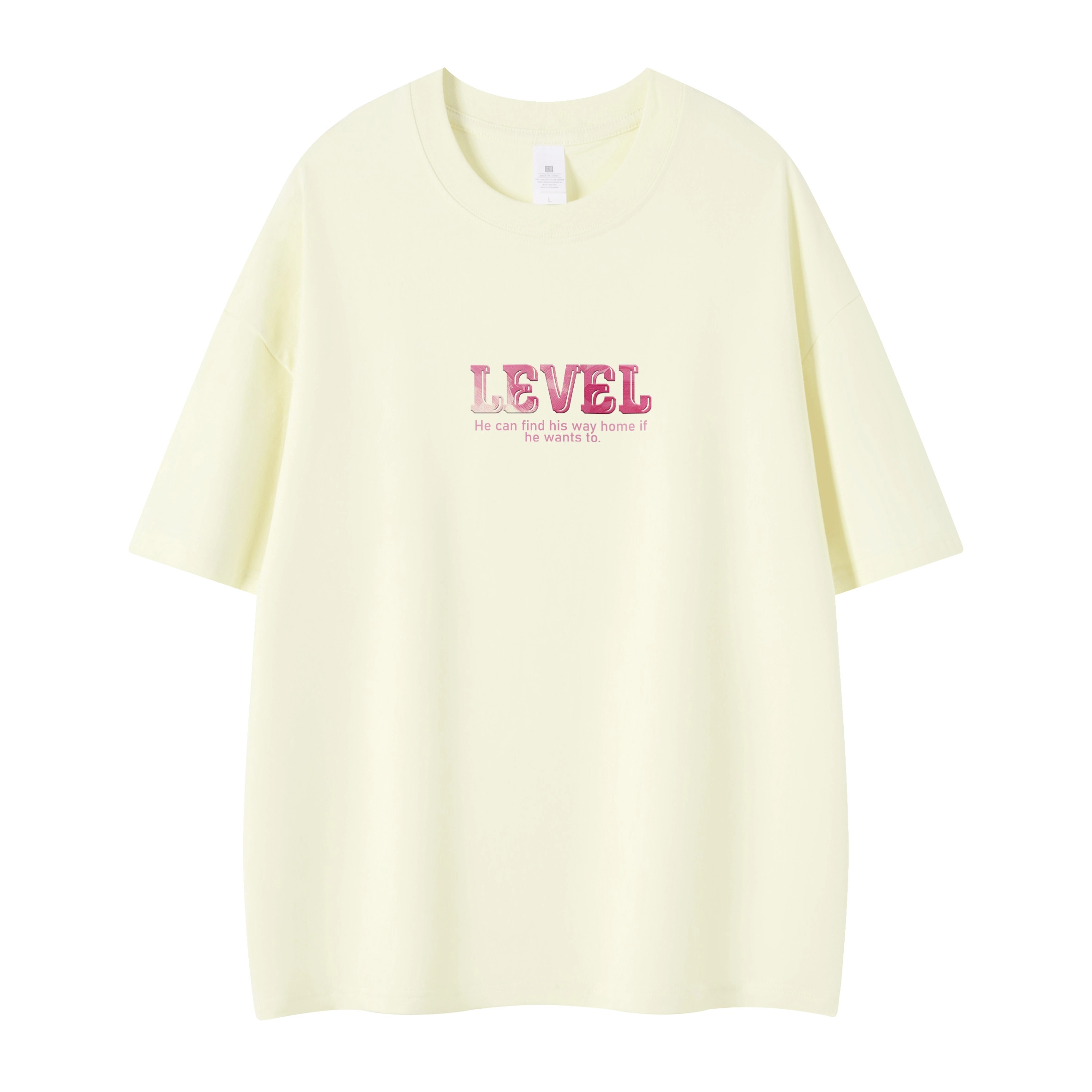 LEVEL T