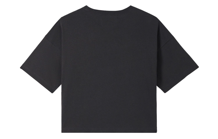 Champion Rochester SS24 T