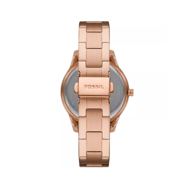 FOSSIL 50m