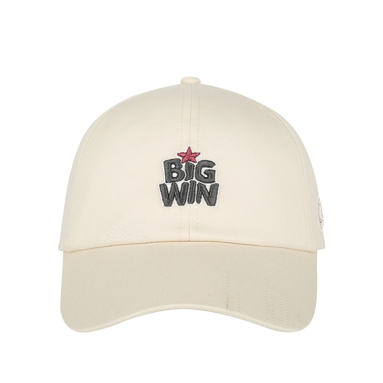 SWOFCARE BIGWIN