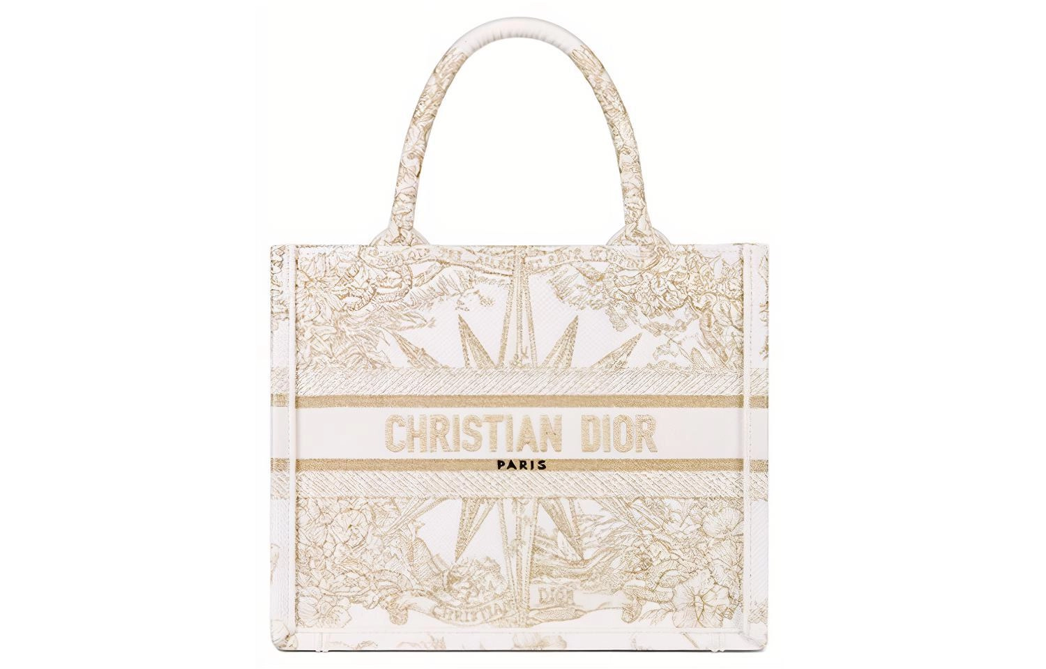 DIOR BookTote Tote