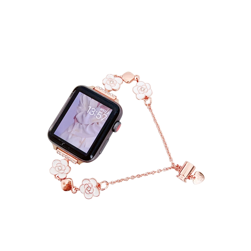 Akkerds Apple Watch