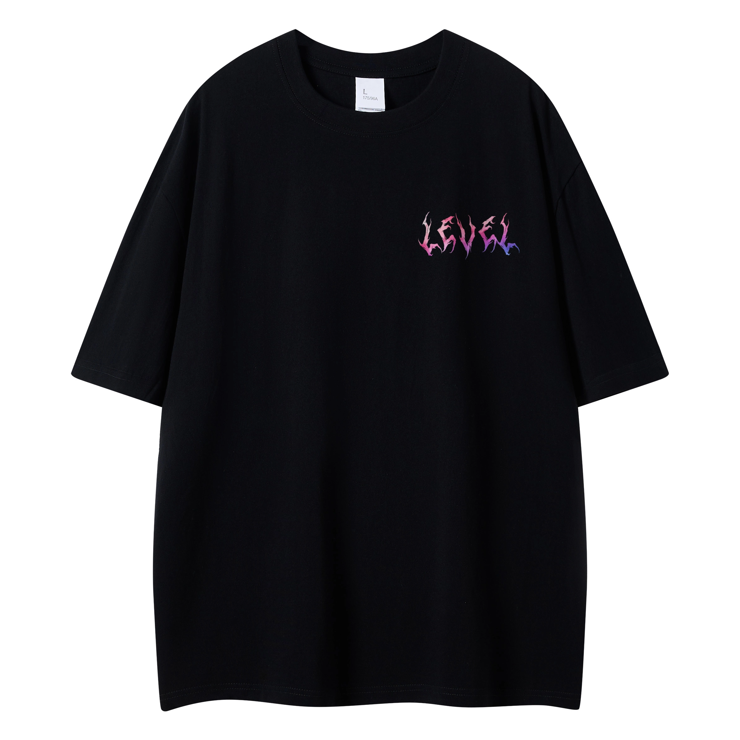 LEVEL T