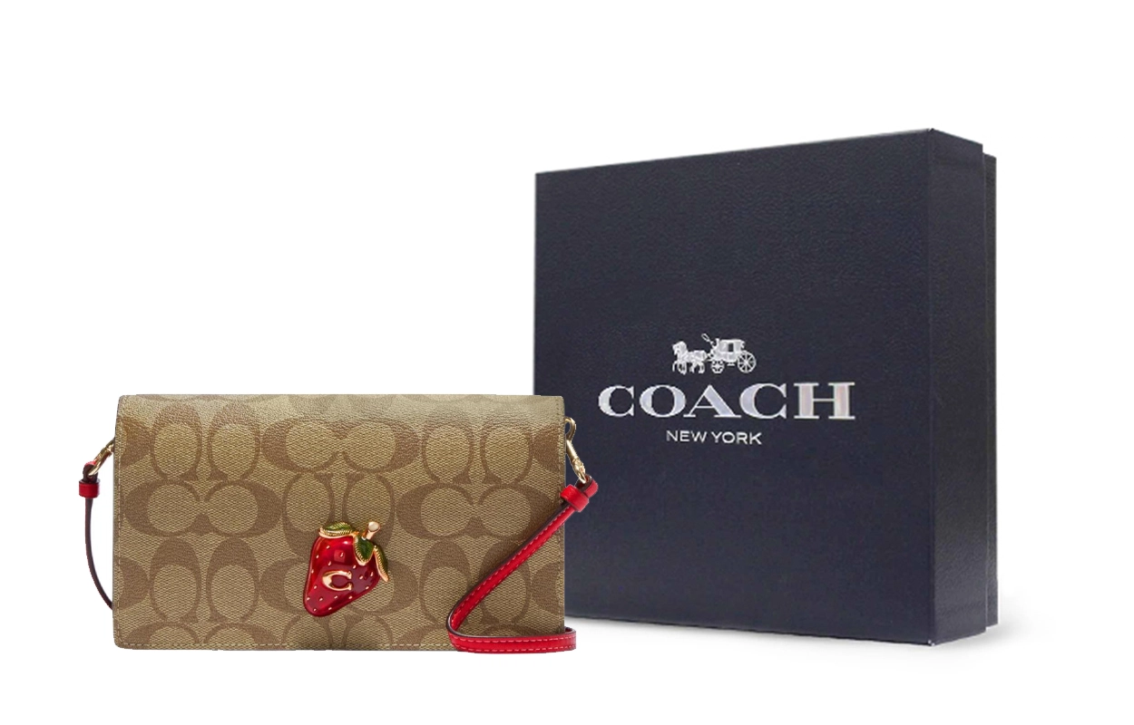 COACH Anna 20