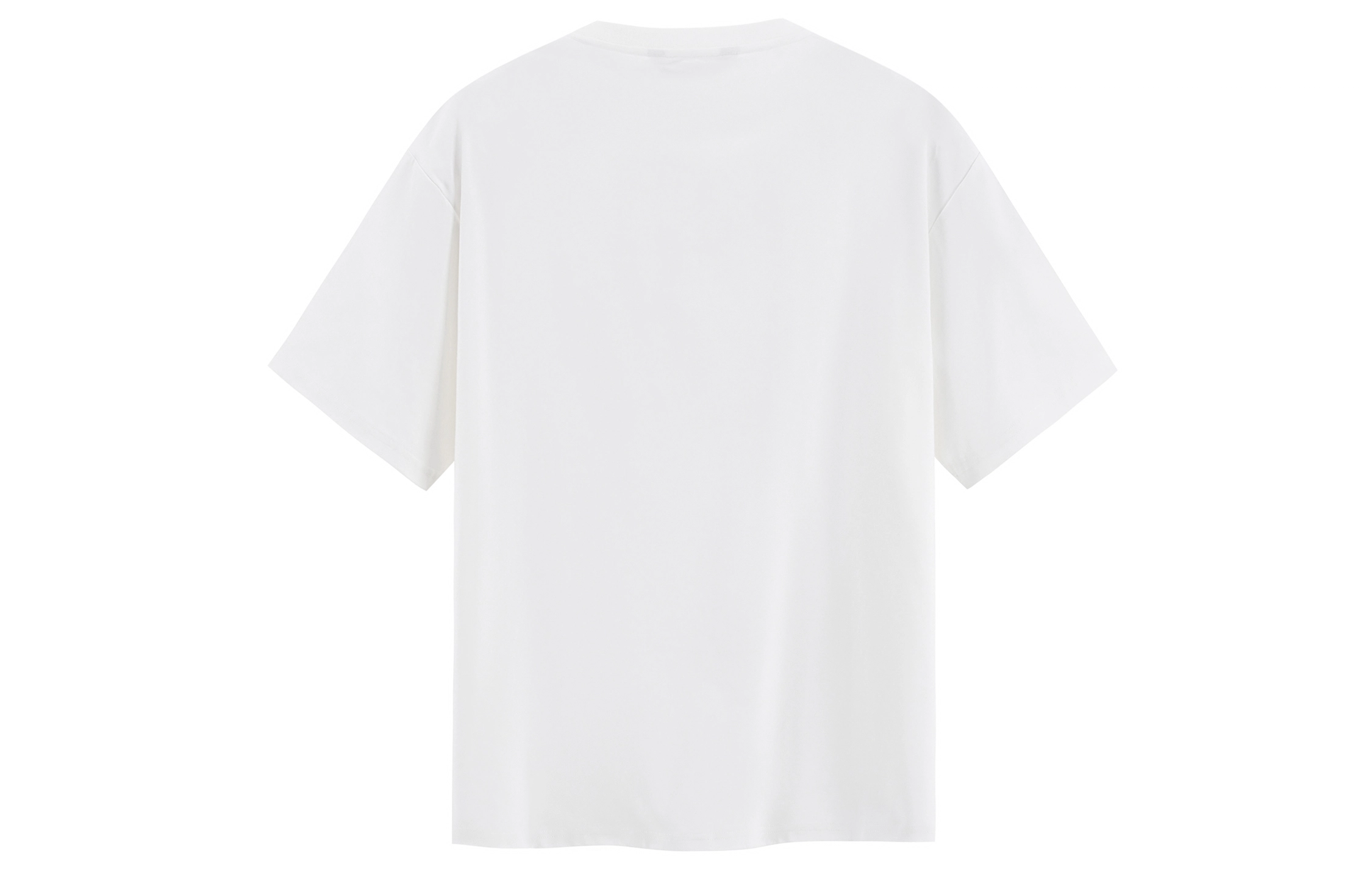 ICONS Lab T