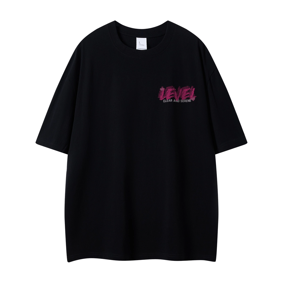LEVEL T