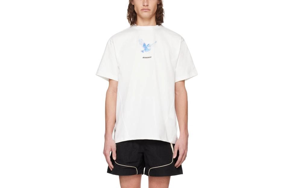 ADER ERROR T