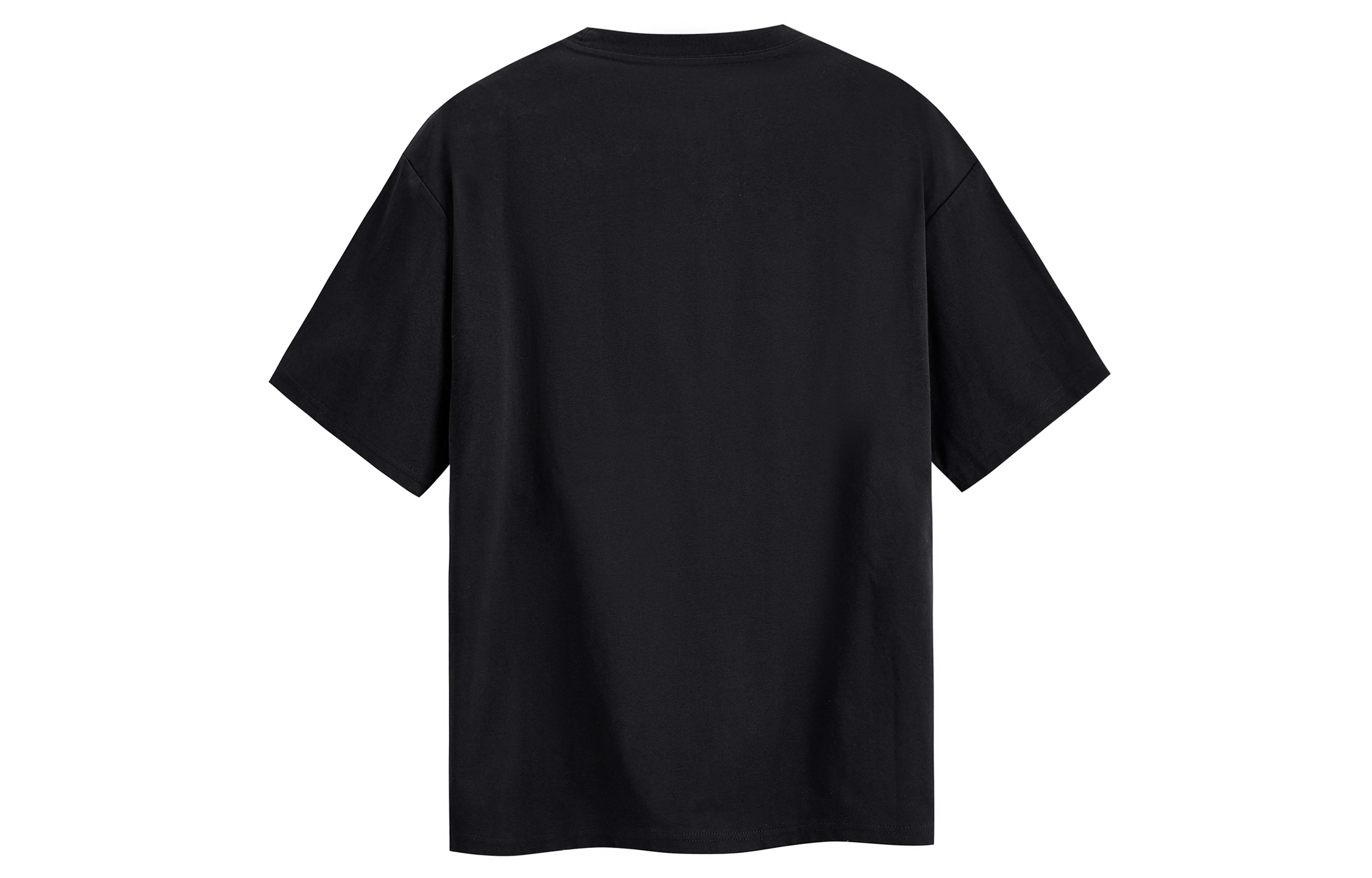 ICONS Lab T