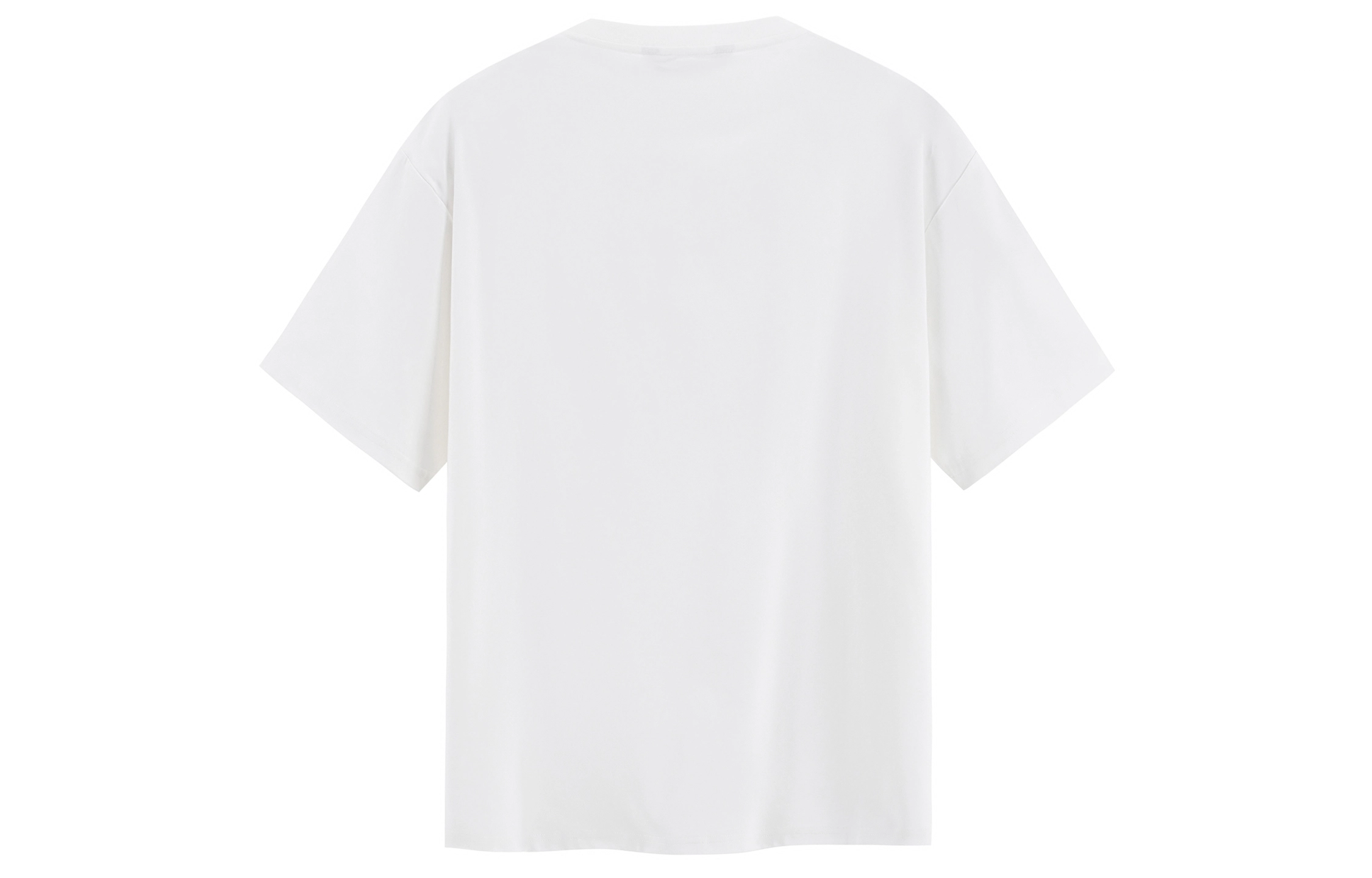 ICONS Lab T